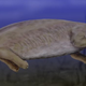 Illustration for article titled WTFossil? Jamaican sea cow edition